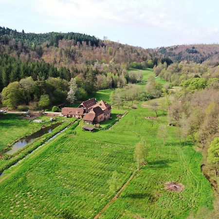 Maison D'Hotes De Charme - Ancien Moulin En Pleine Nature - La Paulusmuehle Soucht Экстерьер фото