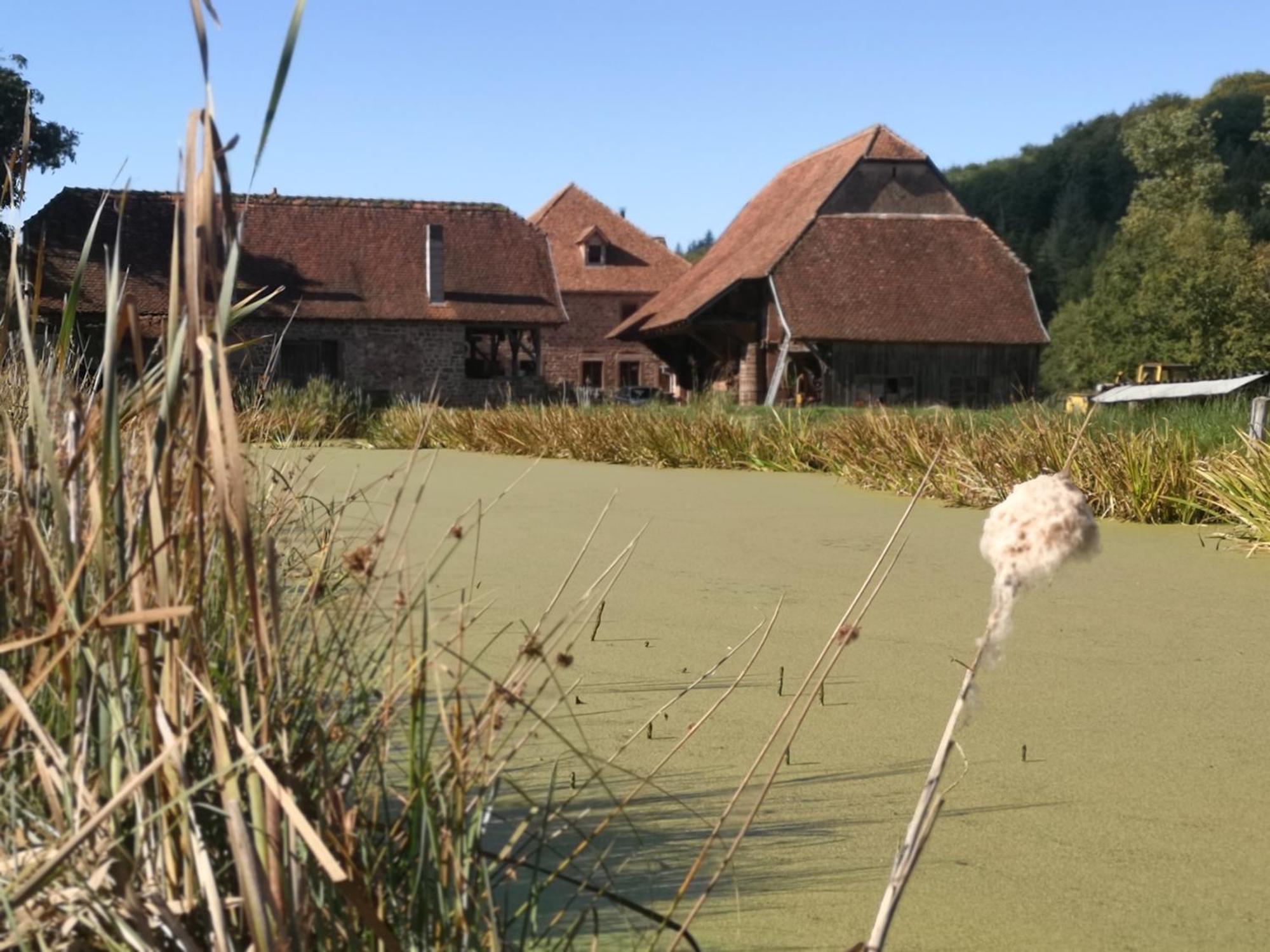 Maison D'Hotes De Charme - Ancien Moulin En Pleine Nature - La Paulusmuehle Soucht Экстерьер фото
