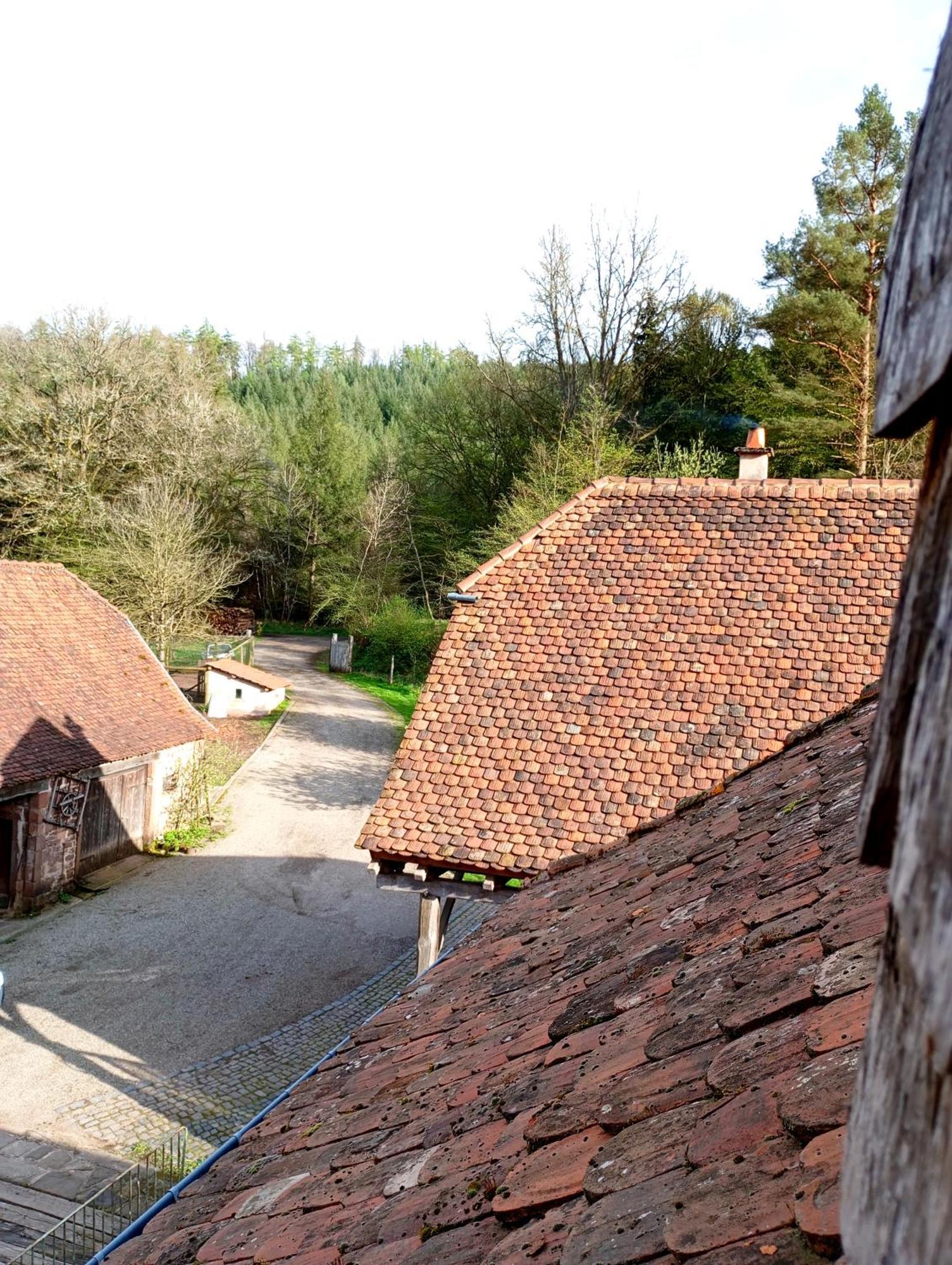 Maison D'Hotes De Charme - Ancien Moulin En Pleine Nature - La Paulusmuehle Soucht Экстерьер фото