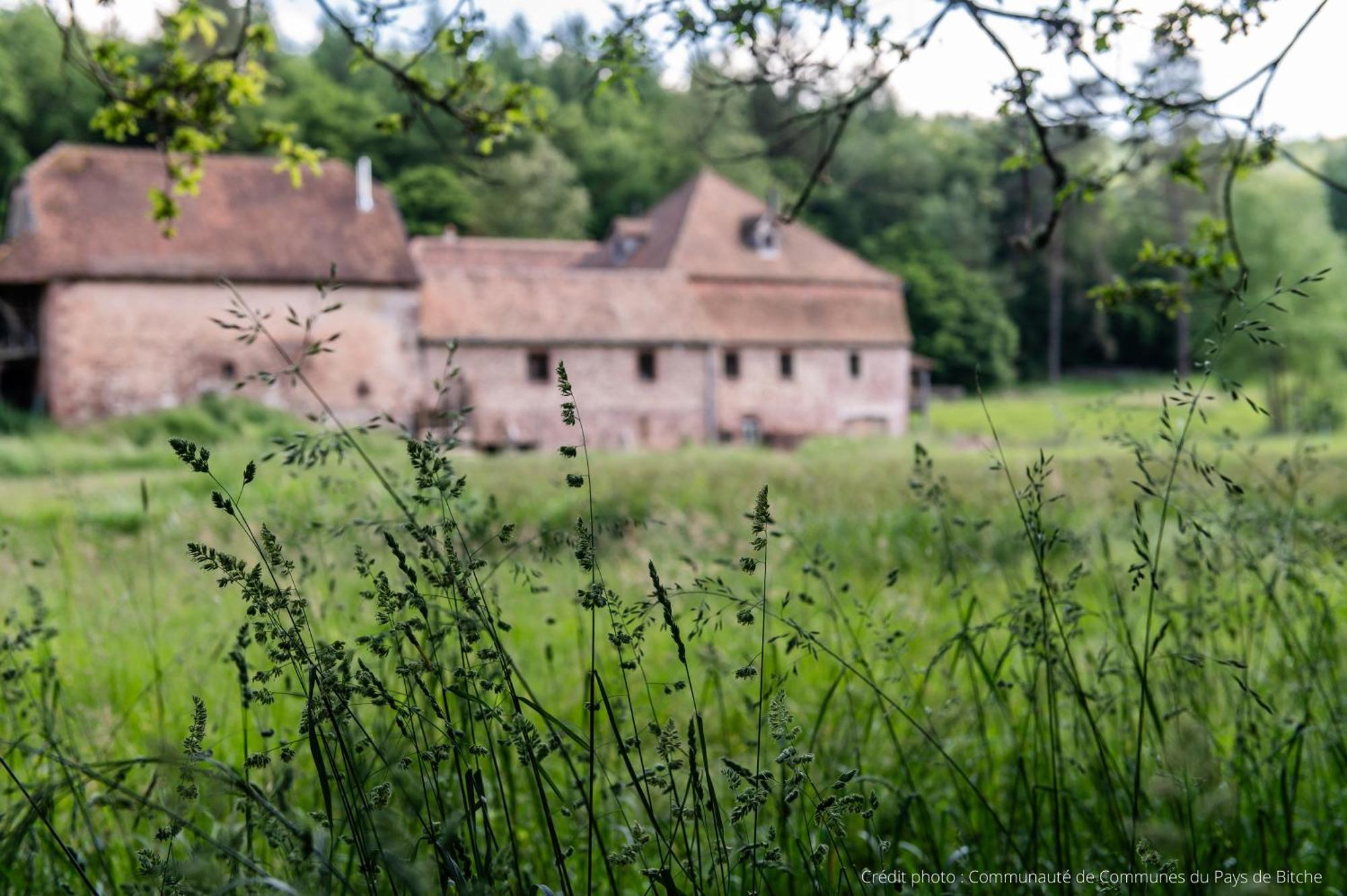 Maison D'Hotes De Charme - Ancien Moulin En Pleine Nature - La Paulusmuehle Soucht Экстерьер фото