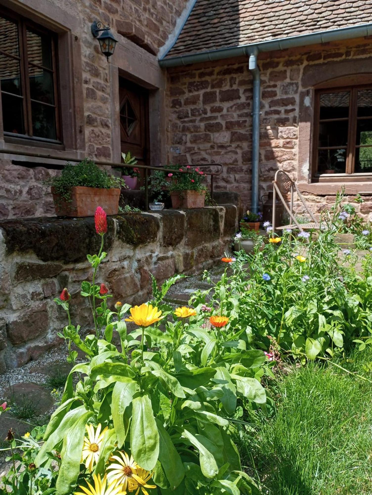 Maison D'Hotes De Charme - Ancien Moulin En Pleine Nature - La Paulusmuehle Soucht Экстерьер фото